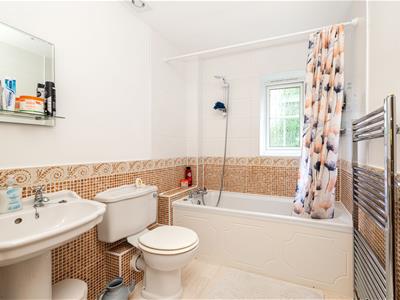 Picture 13